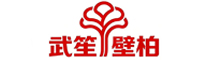 大连武笙壁柏网络科技有限公司